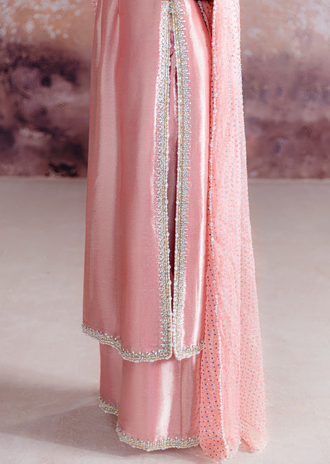 SRA Wedding Festive Organza Hand Emblishment Unstitched Collection AYDA